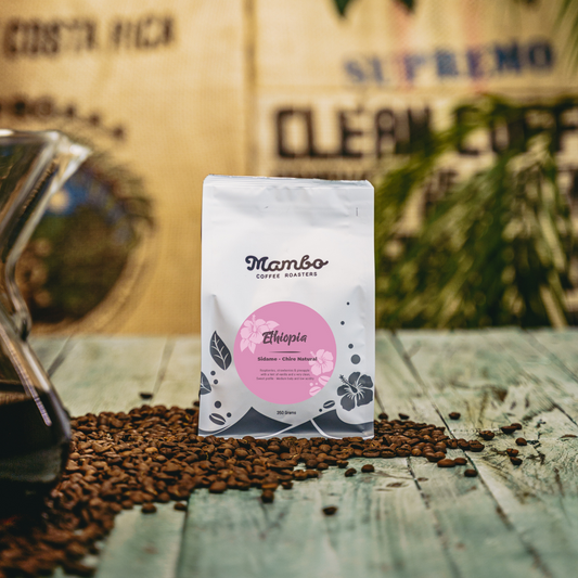 SIDAMO CHIRE – ETHIOPIA
